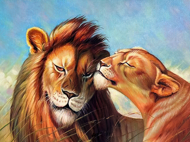 Парень лев какой. Влюбленные львы. Влюбленный Лев картина. Влюбленные львы арт. Влюбленные львы картинки.